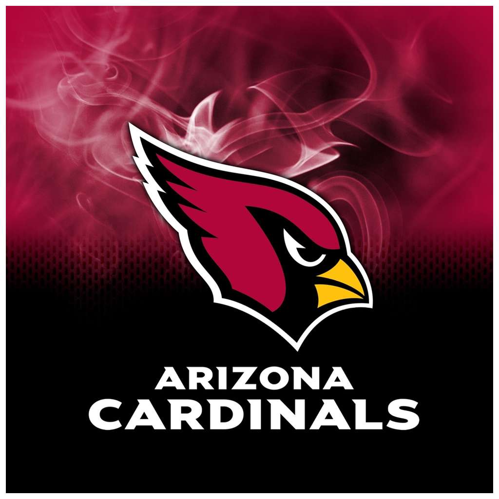 Arizona Cardinals NFL On Fire Towel