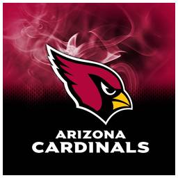 Arizona Cardinals NFL On Fire Towel