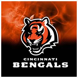 Cincinnati Bengals NFL On Fire Towel