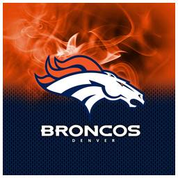 Denver Broncos NFL On Fire Towel