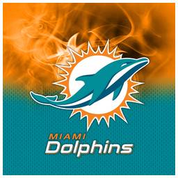 Miami Dolphins NFL On Fire Towel
