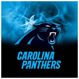 Carolina Panthers NFL On Fire Towel