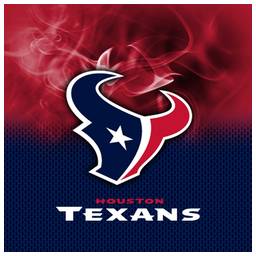 Houston Texans NFL On Fire Towel