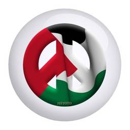 Palestine Meyoto Flag Bowling Ball