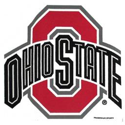 Ohio State Buckeyes Bowling Towel