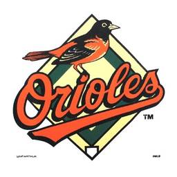 Baltimore Orioles Bowling Towel by Master