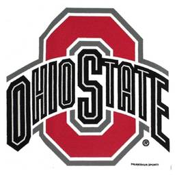 Ohio State Buckeyes Bowling Towel by Master