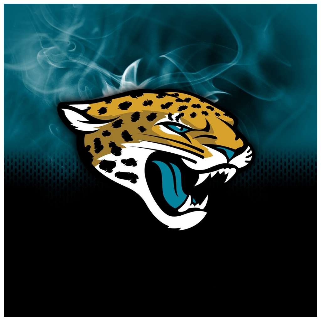 Carolina Panthers NFL On Fire Towel