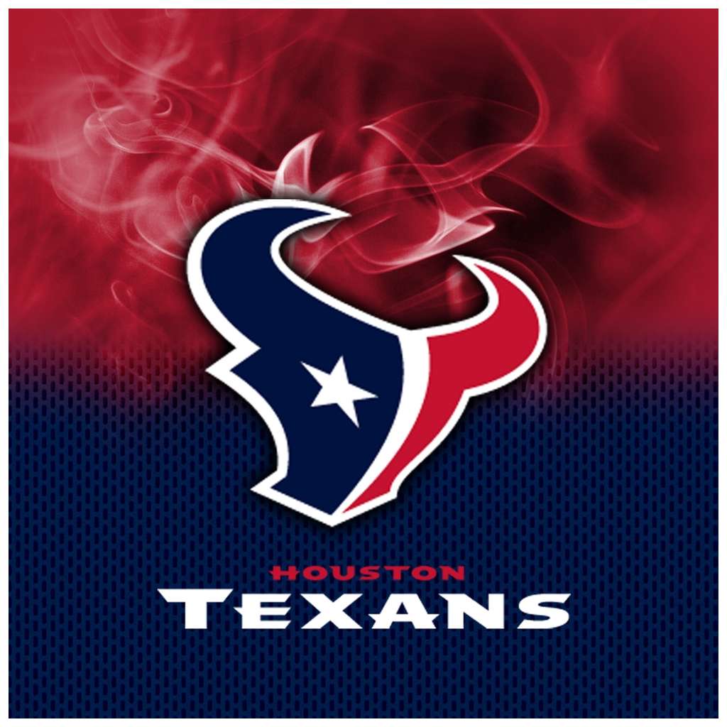 Houston Texans NFL On Fire Towel